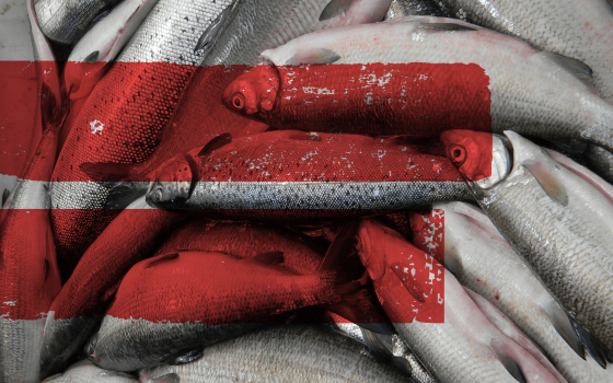 Sustainable fisheries make economic sense