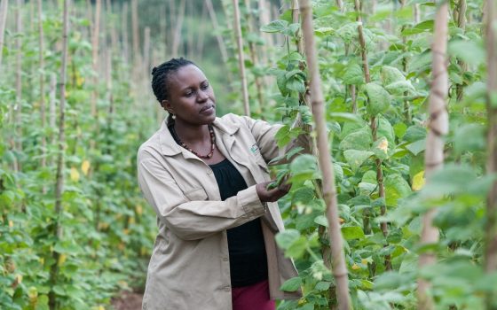 Forget GDP – these are the numbers that matter