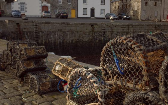 Ending the war over Scottish scampi