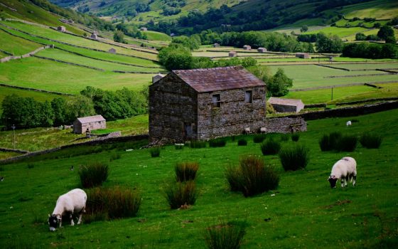 Green and pleasant land