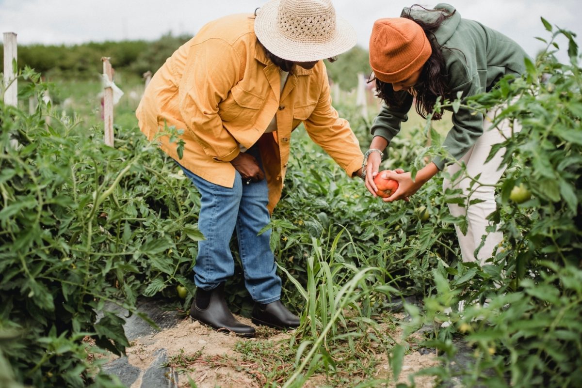 Five steps towards a Green New Deal