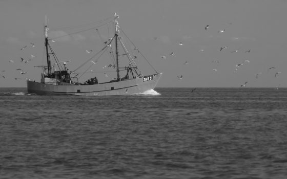 Managing EU fisheries in the public interest