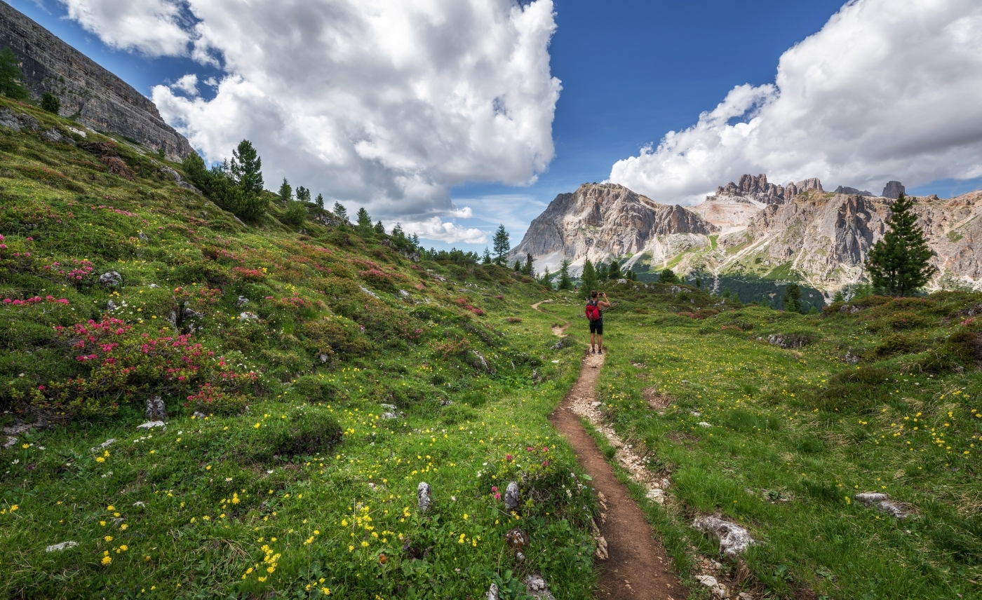 Woman walking through wildflowers in the Alps.