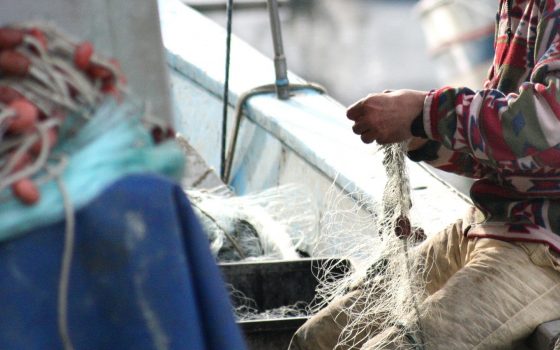 Fisheries White Paper: who is this for?