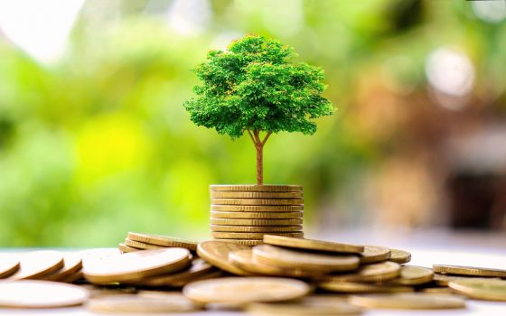 Change the rules of green finance